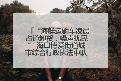“海鲜运输车凌晨占道卸货，噪声扰民” 海口博爱街道城市综合行政执法中队：将联合交警加强长堤路一带巡逻