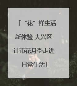 “花”样生活新体验 大兴区让市花月季走进日常生活