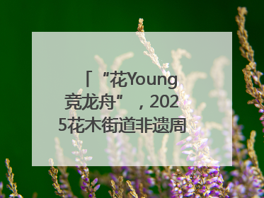 “花Young竞龙舟”，2025花木街道非遗周系列活动举行