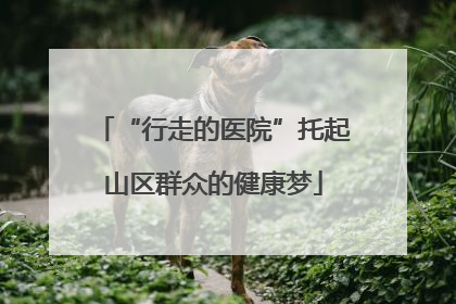 “行走的医院”托起山区群众的健康梦