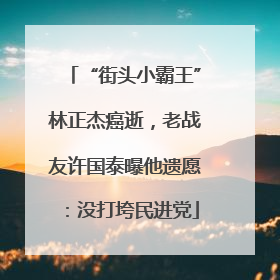 “街头小霸王”林正杰癌逝，老战友许国泰曝他遗愿：没打垮民进党