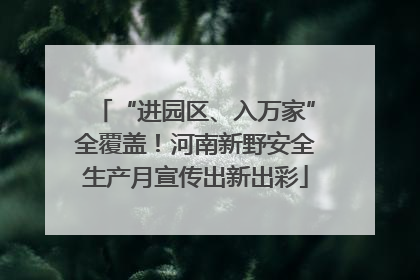“进园区、入万家”全覆盖！河南新野安全生产月宣传出新出彩