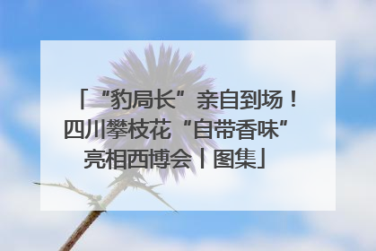 “豹局长”亲自到场！四川攀枝花“自带香味”亮相西博会丨图集