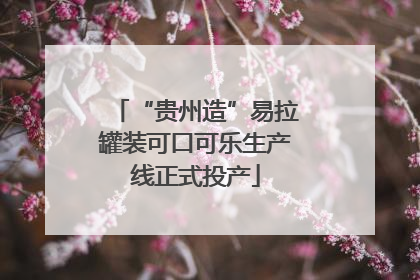 “贵州造”易拉罐装可口可乐生产线正式投产