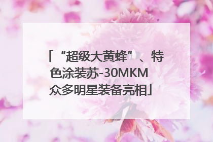 “超级大黄蜂”、特色涂装苏-30MKM 众多明星装备亮相