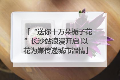 “送你十万朵栀子花”长沙站浪漫开启 以花为媒传递城市温情