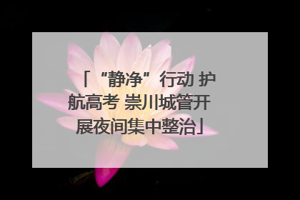 “静净”行动 护航高考 崇川城管开展夜间集中整治