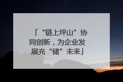“链上坪山”协同创新，为企业发展充“储”未来