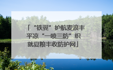 “铁翼”护航麦浪丰 平凉“一喷三防”织就夏粮丰收防护网