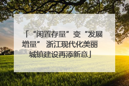 “闲置存量”变“发展增量” 浙江现代化美丽城镇建设再添新意