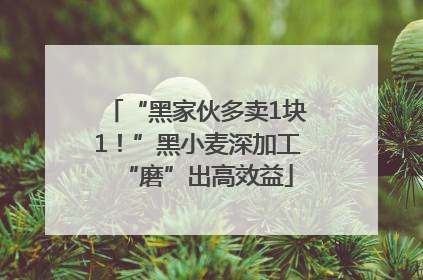 “黑家伙多卖1块1！”黑小麦深加工“磨”出高效益