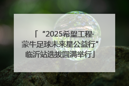 “2025希望工程·蒙牛足球未来星公益行”临沂站选拔圆满举行