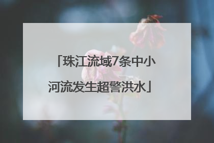 珠江流域7条中小河流发生超警洪水