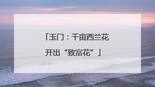 玉门：千亩西兰花开出“致富花”