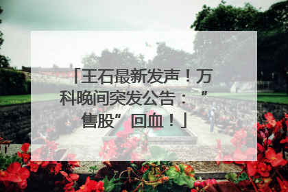 王石最新发声！万科晚间突发公告：“售股”回血！
