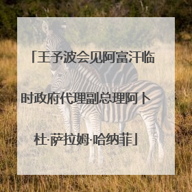 王予波会见阿富汗临时政府代理副总理阿卜杜·萨拉姆·哈纳菲