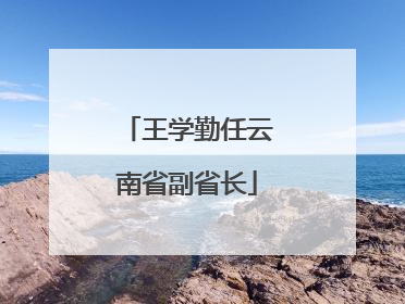 王学勤任云南省副省长