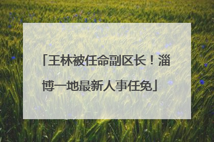 王林被任命副区长！淄博一地最新人事任免
