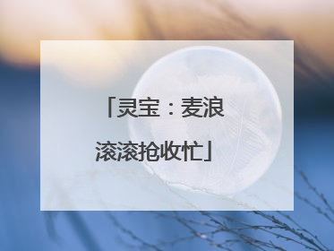 灵宝：麦浪滚滚抢收忙