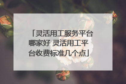 灵活用工服务平台哪家好 灵活用工平台收费标准几个点