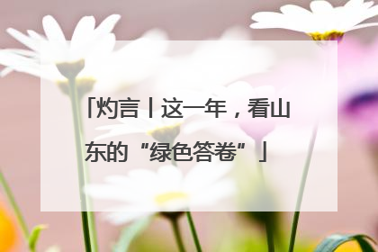 灼言丨这一年，看山东的“绿色答卷”