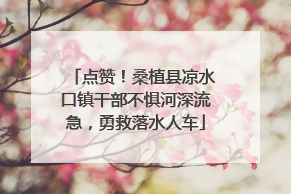 点赞！桑植县凉水口镇干部不惧河深流急，勇救落水人车