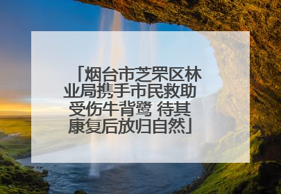烟台市芝罘区林业局携手市民救助受伤牛背鹭 待其康复后放归自然