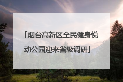 烟台高新区全民健身悦动公园迎来省级调研