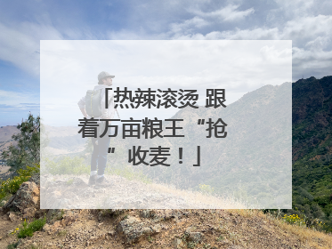 热辣滚烫 跟着万亩粮王“抢”收麦！
