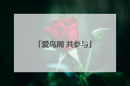 爱鸟周 共参与