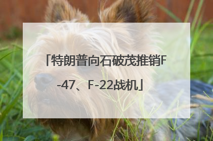 特朗普向石破茂推销F-47、F-22战机