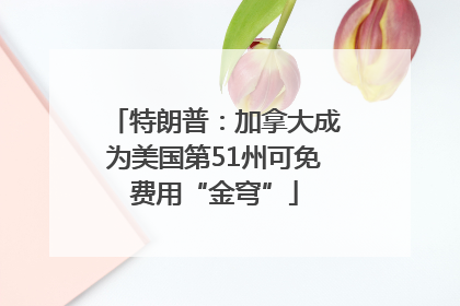 特朗普：加拿大成为美国第51州可免费用“金穹”