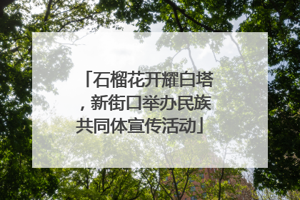 石榴花开耀白塔，新街口举办民族共同体宣传活动