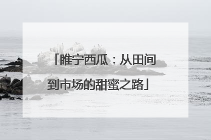 睢宁西瓜：从田间到市场的甜蜜之路