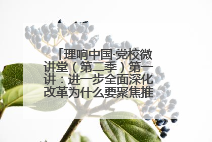 理响中国·党校微讲堂（第二季）第一讲：进一步全面深化改革为什么要聚焦推进中国式现代化