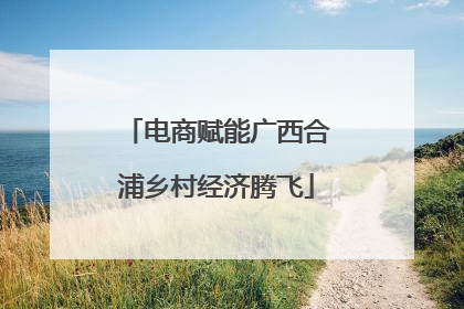 电商赋能广西合浦乡村经济腾飞