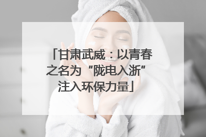 甘肃武威：以青春之名为“陇电入浙”注入环保力量