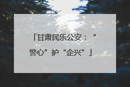 甘肃民乐公安：“警心”护“企兴”