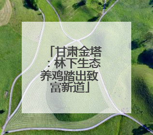 甘肃金塔：林下生态养鸡踏出致富新道