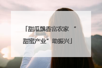 甜瓜飘香富农家 “甜蜜产业”助振兴