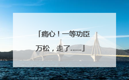 痛心！一等功臣万松，走了……