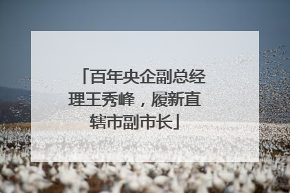 百年央企副总经理王秀峰，履新直辖市副市长