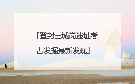 登封王城岗遗址考古发掘最新发现