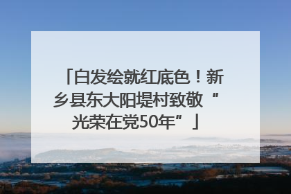 白发绘就红底色！新乡县东大阳堤村致敬“光荣在党50年”