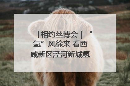 相约丝博会｜“氢”风徐来 看西咸新区泾河新城氢能产业聚链成势