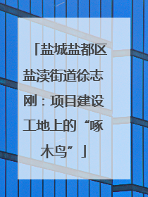 盐城盐都区盐渎街道徐志刚：项目建设工地上的“啄木鸟”