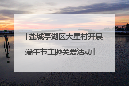 盐城亭湖区大星村开展端午节主题关爱活动