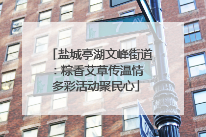 盐城亭湖文峰街道：粽香艾草传温情 多彩活动聚民心