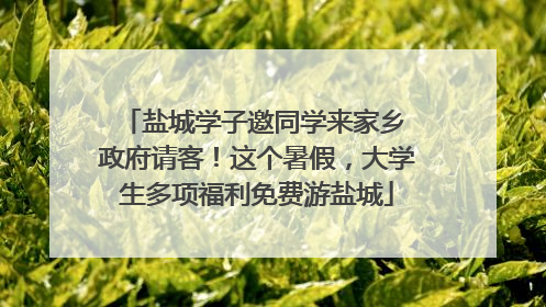 盐城学子邀同学来家乡 政府请客！这个暑假，大学生多项福利免费游盐城