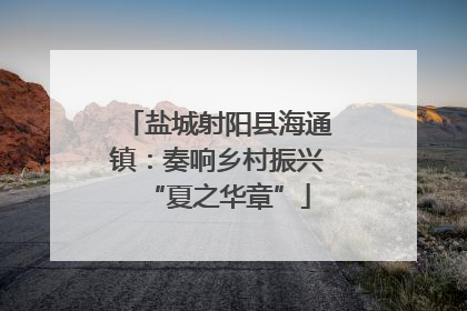 盐城射阳县海通镇：奏响乡村振兴“夏之华章”